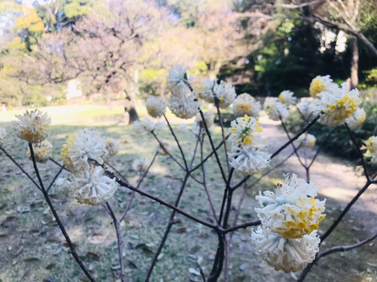 徳川美術館　庭園